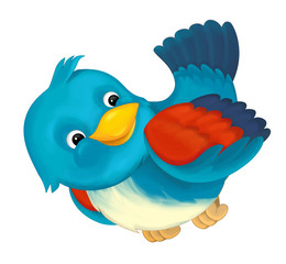 cheerful cartoon blue bird isolated / illustration for children