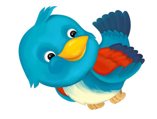 cheerful cartoon blue bird isolated / illustration for children
