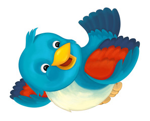 cheerful cartoon blue bird isolated / illustration for children