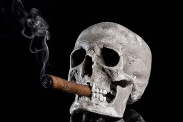 Close up portrait Skull with a cigar and smoke on black background. Health danger concept
