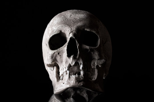 Human skull on a black background with reflection