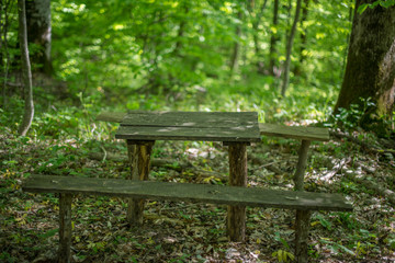 Fototapeta premium Old wooden benches and a table in the forest.