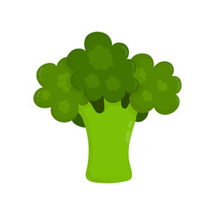 Broccoli raw vector modern flat style cartoon illustration icon design.Isolated on white background.