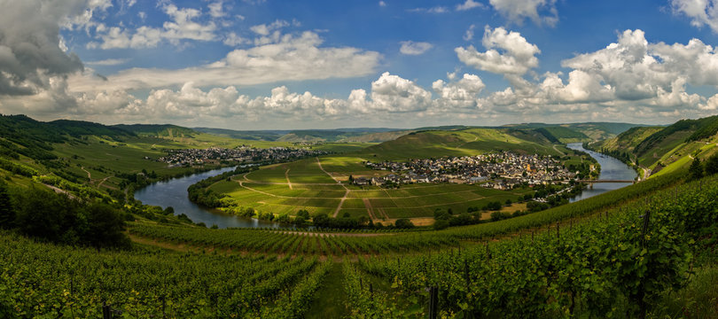 Panorama with the Moselle Loop between Leiwen and Trittenheim in Germany.