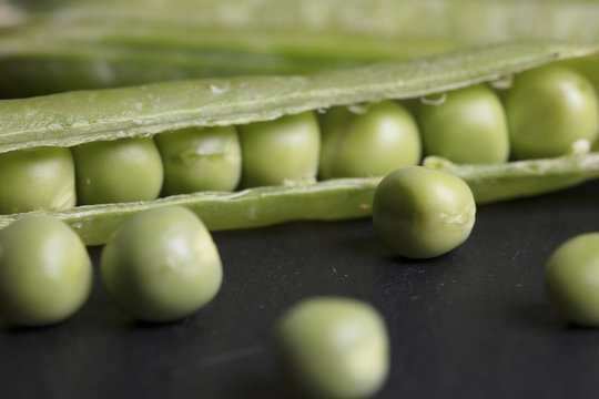 Organic fresh peas on black stone background close up. Healthy diet, vegan and vegetarian concept.