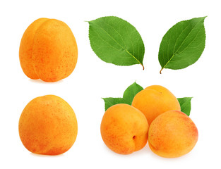 Apricot isolated on white background