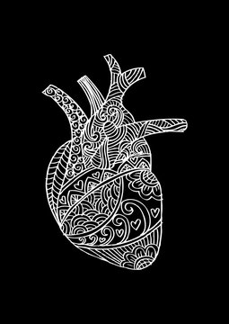 Zentangle stylized Human heart .