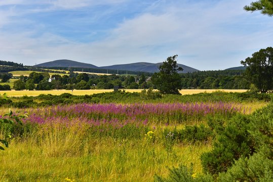 Schottland - Alness Point Wanderweg