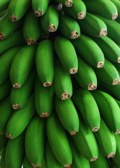 banany zielone