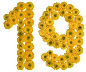 Arabic numeral 19, nineteen,  from yellow flowers of buttercup, isolated on white background