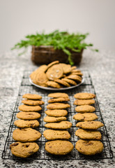 Fresh From Oven Cookies n Cream 