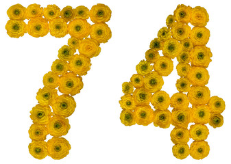 Arabic numeral 74, seventy four, from yellow flowers of buttercup, isolated on white background