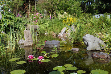 Fototapeta na wymiar naturnaher Gartenteich mit kleinem Wasserfall