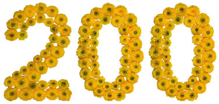 Arabic numeral 200, two hundred, from yellow flowers of buttercup, isolated on white background