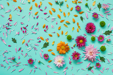 Colored asters on canvas. Abstract background