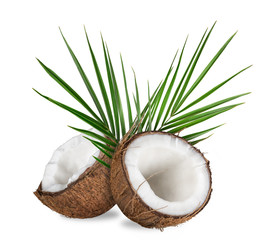 close-up of a coconuts on white background