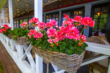 Fototapeta na wymiar Pink flowers on the veranda.