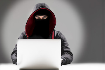 Serene computer burglar downloading data