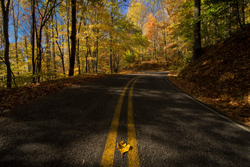 Fall road - 158414930