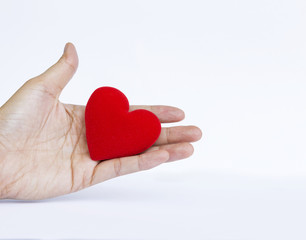 Red heart in girl hand isolate on white background
