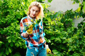 Girl cuts secateurs branches of trees in the garden