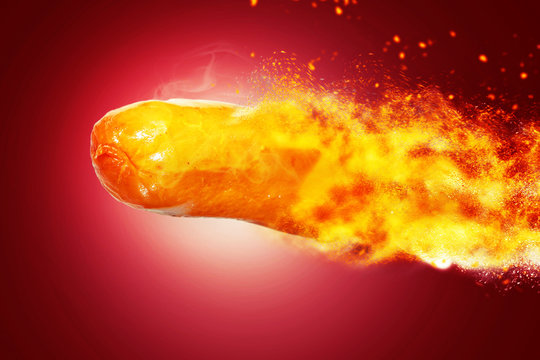 A Hotdog BBQ pork burning fly image closeup