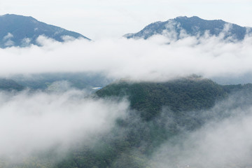 Takeda Castle and Sea of ​​clouds in the mountain