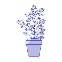 blue shading silhouette of plant pot vector illustration