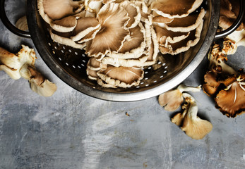 Fresh oyster mushrooms, food background, top view