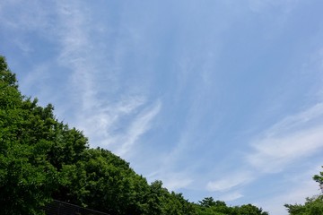 初夏の青空