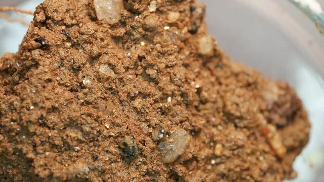 Minerals and soils sample
