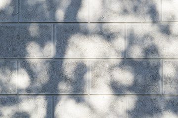 Wallpaper wall gray stone neutral grunge and shadow