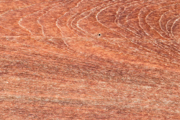 Wood Wall Textures For text and background