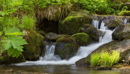 Thresholds on a mountain stream in the forest