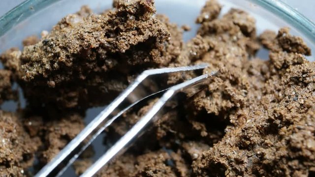 Minerals and soils sample
