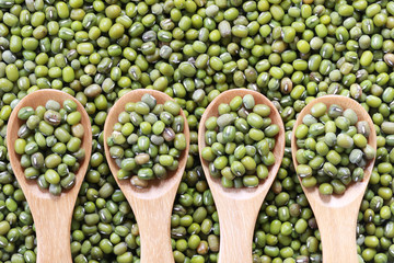 Green beans seed in a wooden spoon.