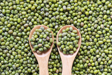 Green beans seed in a wooden spoon.