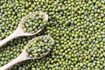 Green beans seed in a wooden spoon.
