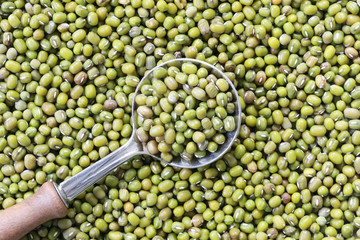 Green beans seed in a Silver spoon.