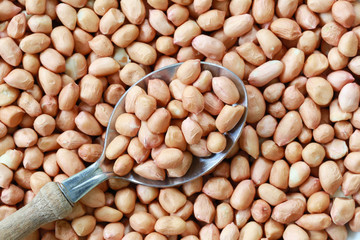 Peanut in Silver spoon on bean background.