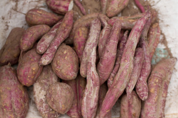 Purple Sweet Yam / Purple Sweet Yam From Agriculture Sell At Street Vendors.
