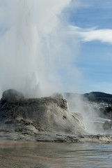 Castle Geyser, Yellowstone NP