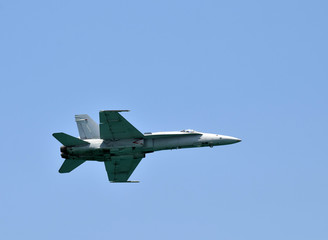 Fototapeta na wymiar Navy fighter jet