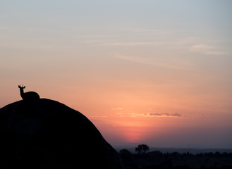 Sunrise silhouette