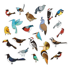 Birds set. Lined vector collextion.