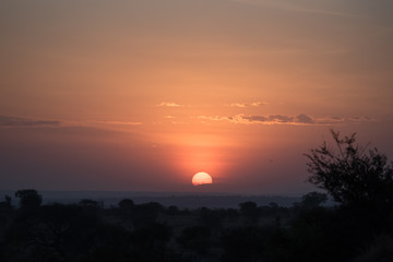 Serengeti hazy sunrise