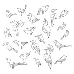 Birds set. Lined vector collextion.