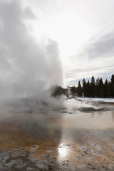 Castle Geyser, Yellowstone NP