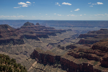 Fototapeta premium North Rim of the Grand Canyon