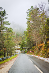 Forest road in the Serra da Estrela mountains. County of Guarda. Portugal